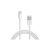 USB kabelis 2 m Lightning iPhone 5/5S/SE/6/7/Plus iPad Orginalus