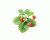 SMART HOME STRAWBERRY REFILL/WILD STRAW-REFILL-3 CLICK&GROW